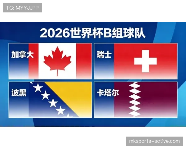世界杯B组加拿大战术打法全面解析
